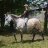 equinus