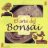 el arte del bonsai