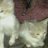 miky_greenfingers