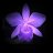 Paulette_F