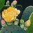 andrea_lovecactus93