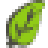 Neoture