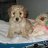 carola_guerrero@yahoo.com