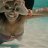 flor_ayfauna