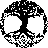 JMsempervirens