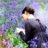 fleurbleue
