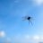 bugs