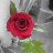 RubyLozz