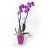 florcom