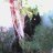 mariam62