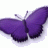 lilithput