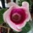 byflor25