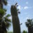 lovecactus
