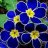 iraflower