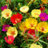 Leticia_Py