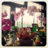 Carmela_Burana