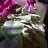 alejo_2410