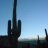 Nicolas_Delsur