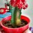 buby011