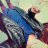 Damienn7609