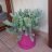 campanilla_40