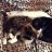 Julieta_242