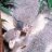 Lizeth1992