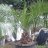 palmpasion