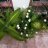 Kir@