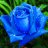 Jonni359