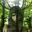 Forestta