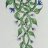 martinablossom