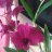 Jenniffer0231