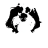 Zixon