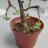 eduardore9