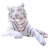 seansa