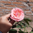 Garden_Keeper