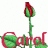 carolguillen77