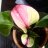 jessicagm16