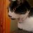 Katherine06_