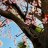 Samantha_