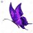 mariposa2975