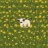 plant_plant19