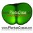 www.PlantasCrasas.net