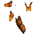 Ita
