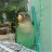 diego_arri