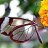 Papillon..