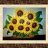 pintaungirasol