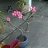 maricarmen_p