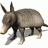 armadillo